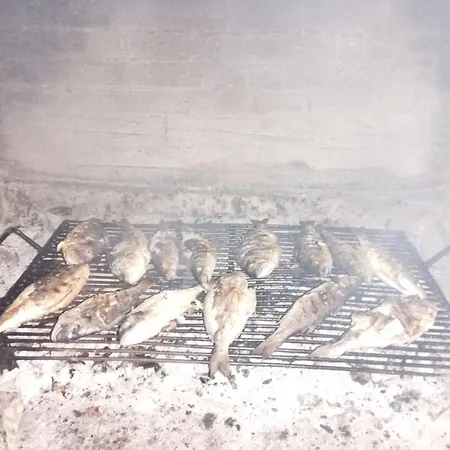 Apartament Feral Saplunara