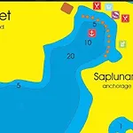 Feral *