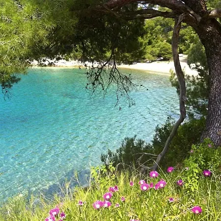 アパート Feral *