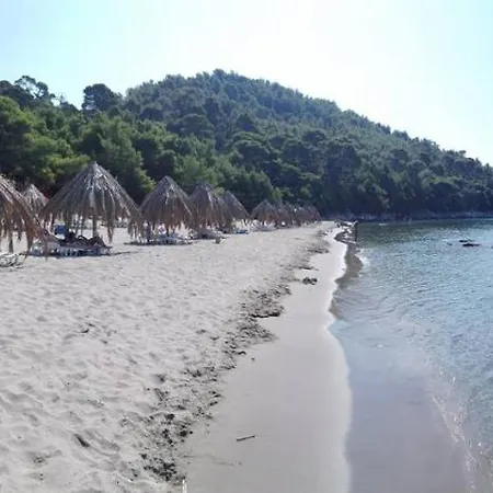 Feral * サプルナラ