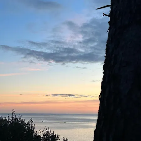 Feral アパート サプルナラ